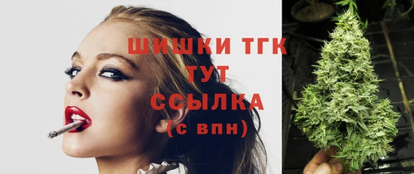 шишки Армянск
