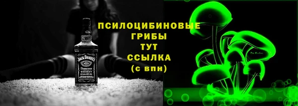 шишки Армянск