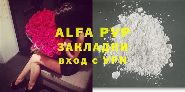дживик Арсеньев