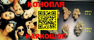 тгк Волгодонск