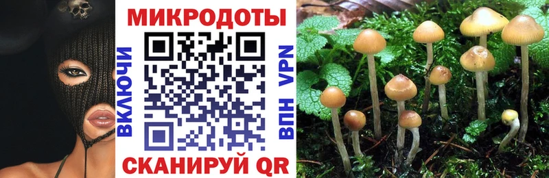 Галлюциногенные грибы Psilocybine cubensis  сколько стоит  Кемерово 